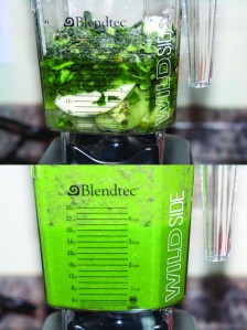 blendtec-green-smoothie-598x800
